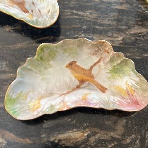 Johnson brothers bone plates